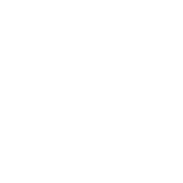 Zhipu AI